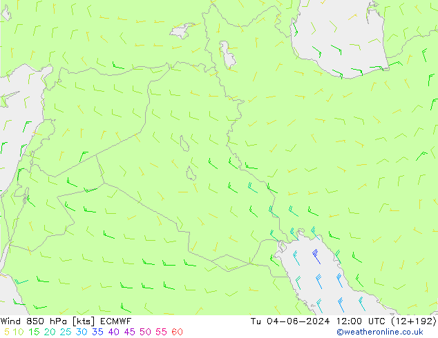 Viento 850 hPa ECMWF mar 04.06.2024 12 UTC