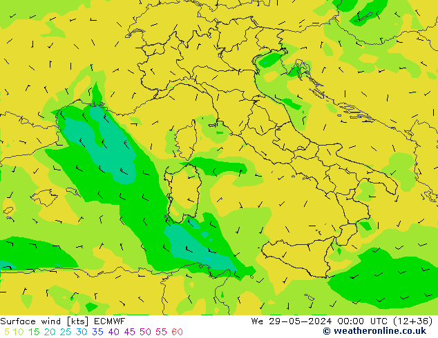 Surface wind ECMWF We 29.05.2024 00 UTC