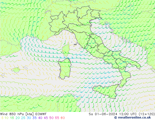 Viento 850 hPa ECMWF sáb 01.06.2024 12 UTC