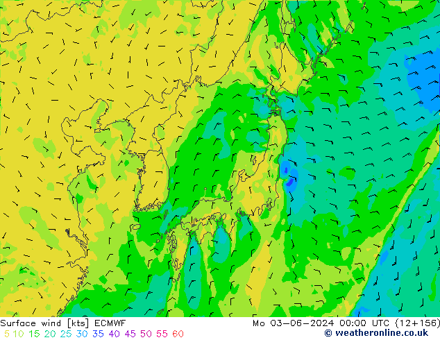 Surface wind ECMWF Po 03.06.2024 00 UTC