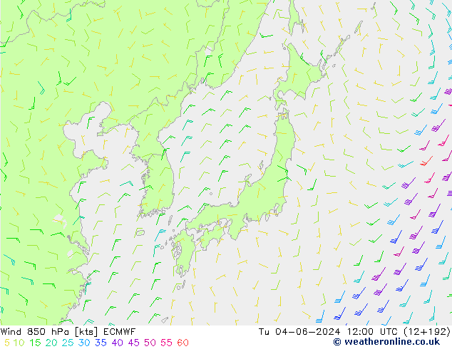 Vento 850 hPa ECMWF mar 04.06.2024 12 UTC