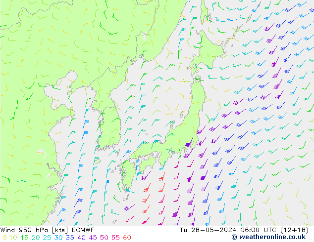 Rüzgar 950 hPa ECMWF Sa 28.05.2024 06 UTC