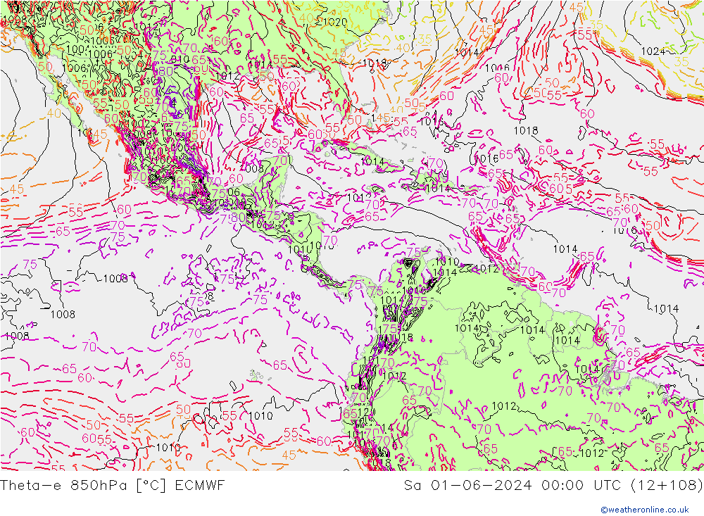 Theta-e 850hPa ECMWF Sa 01.06.2024 00 UTC