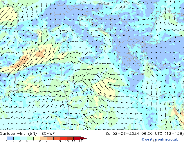 Vento 10 m (bft) ECMWF dom 02.06.2024 06 UTC