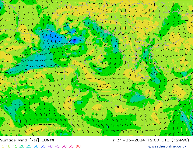 Surface wind ECMWF Fr 31.05.2024 12 UTC