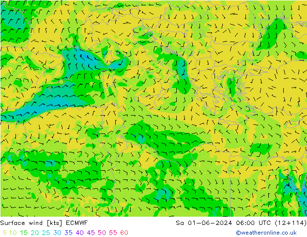 wiatr 10 m ECMWF so. 01.06.2024 06 UTC