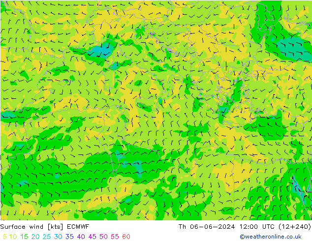 Vento 10 m ECMWF gio 06.06.2024 12 UTC