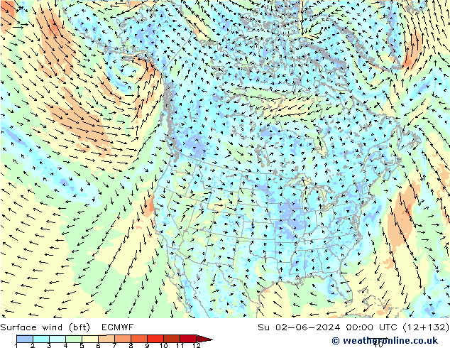 Surface wind (bft) ECMWF Ne 02.06.2024 00 UTC