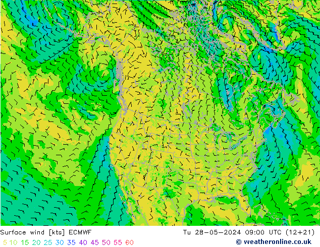 Surface wind ECMWF Tu 28.05.2024 09 UTC