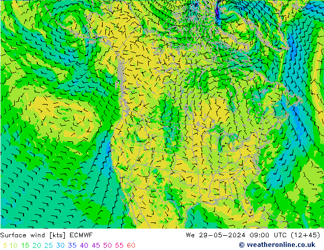 Vent 10 m ECMWF mer 29.05.2024 09 UTC