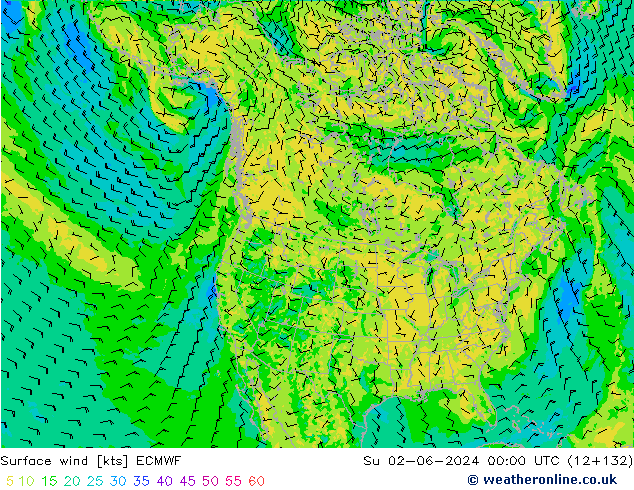 Vent 10 m ECMWF dim 02.06.2024 00 UTC