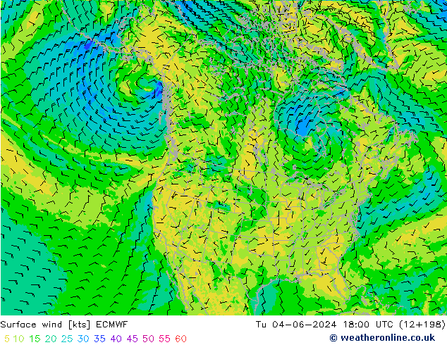 ветер 10 m ECMWF вт 04.06.2024 18 UTC