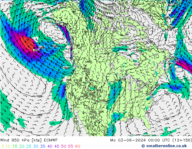 ветер 950 гПа ECMWF пн 03.06.2024 00 UTC