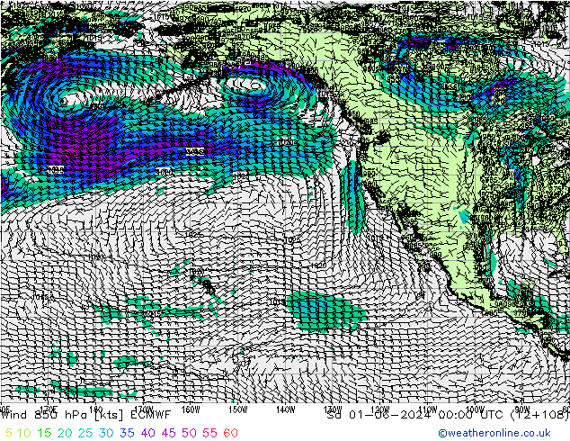 Vento 850 hPa ECMWF sab 01.06.2024 00 UTC