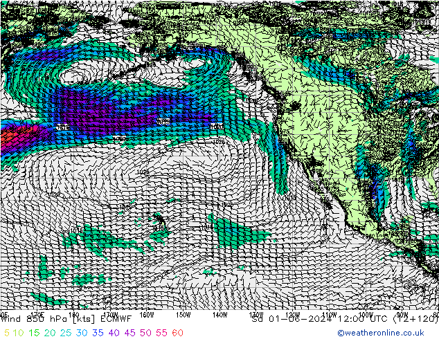 Rüzgar 850 hPa ECMWF Cts 01.06.2024 12 UTC