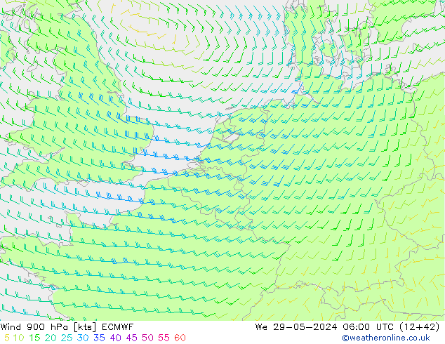 ветер 900 гПа ECMWF ср 29.05.2024 06 UTC