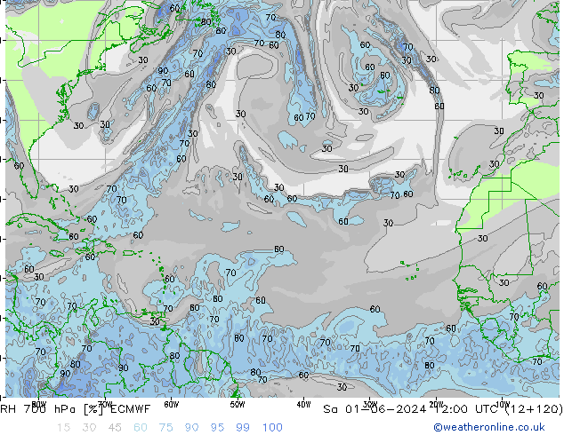 RH 700 гПа ECMWF сб 01.06.2024 12 UTC