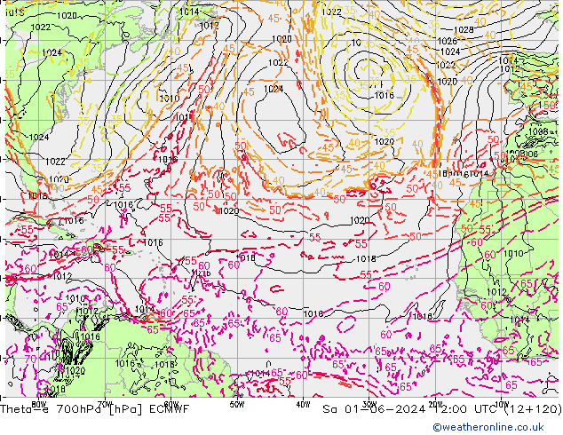 Theta-e 700hPa ECMWF  01.06.2024 12 UTC