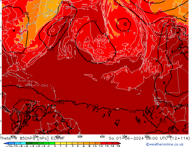 Theta-W 850hPa ECMWF Sa 01.06.2024 06 UTC