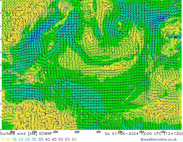  10 m ECMWF  01.06.2024 12 UTC