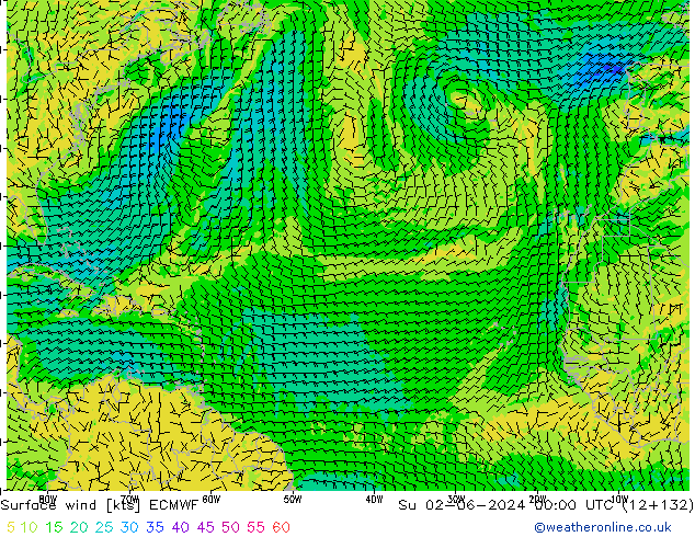 Vento 10 m ECMWF Dom 02.06.2024 00 UTC