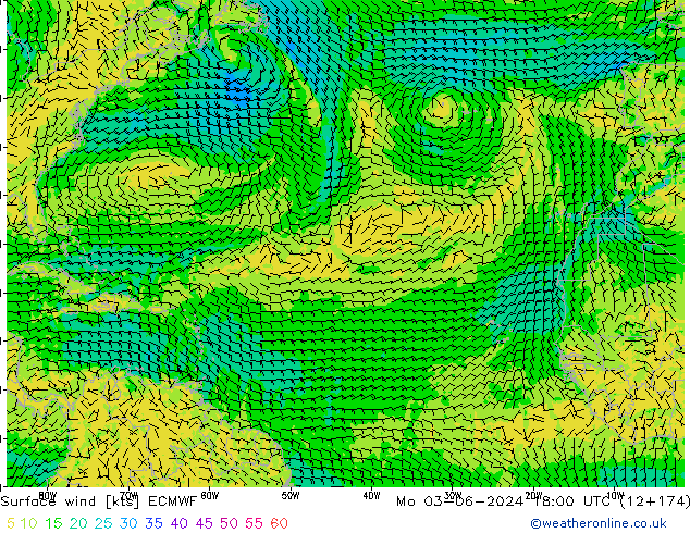 Surface wind ECMWF Po 03.06.2024 18 UTC
