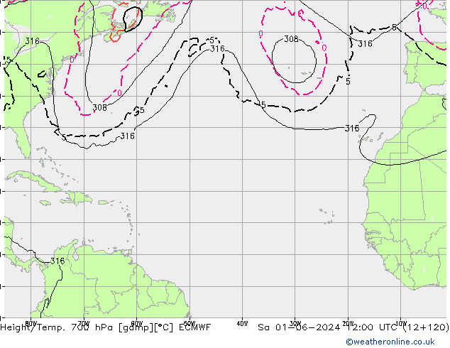 Height/Temp. 700 гПа ECMWF сб 01.06.2024 12 UTC