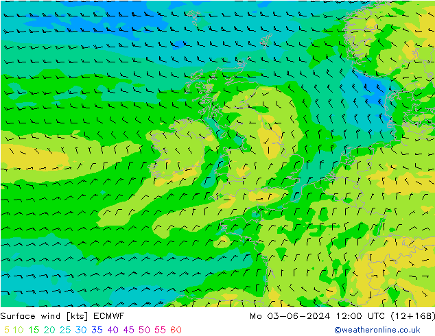 Vento 10 m ECMWF lun 03.06.2024 12 UTC