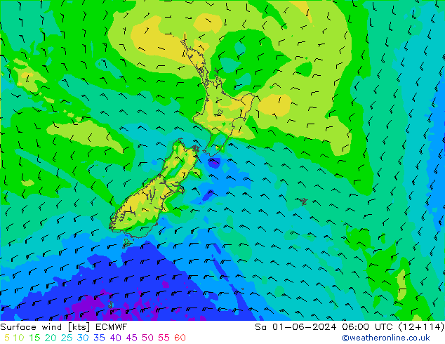 ветер 10 m ECMWF сб 01.06.2024 06 UTC