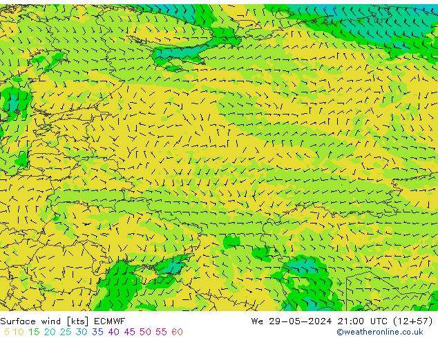 Surface wind ECMWF We 29.05.2024 21 UTC