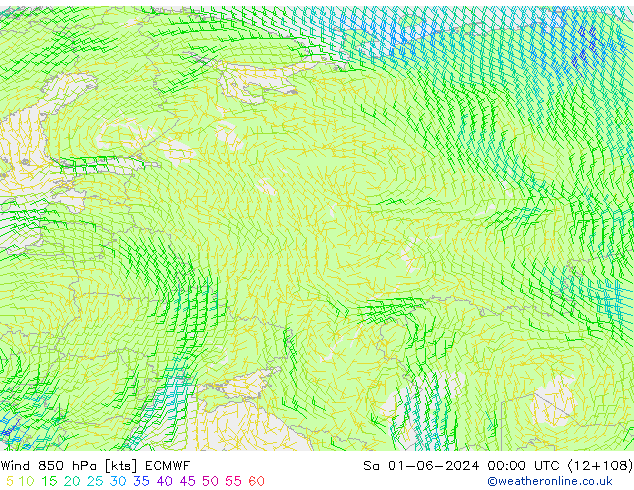 Wind 850 hPa ECMWF So 01.06.2024 00 UTC