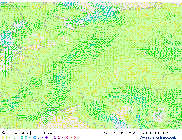 Wind 950 hPa ECMWF So 02.06.2024 12 UTC