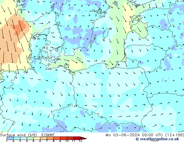 Vento 10 m (bft) ECMWF Seg 03.06.2024 00 UTC