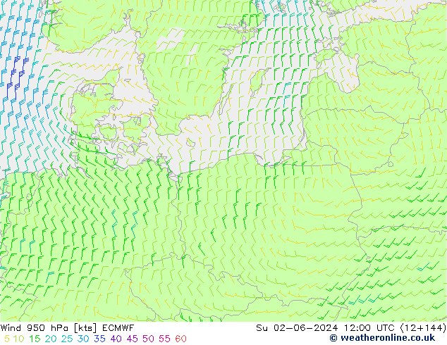 wiatr 950 hPa ECMWF nie. 02.06.2024 12 UTC