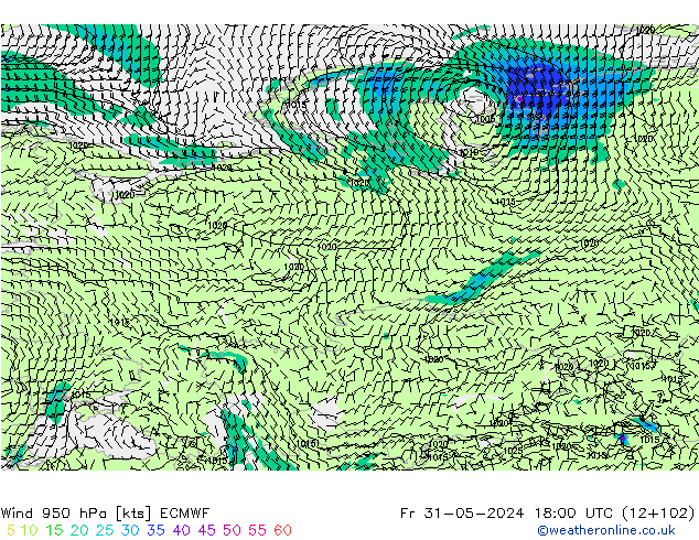 Wind 950 hPa ECMWF Fr 31.05.2024 18 UTC