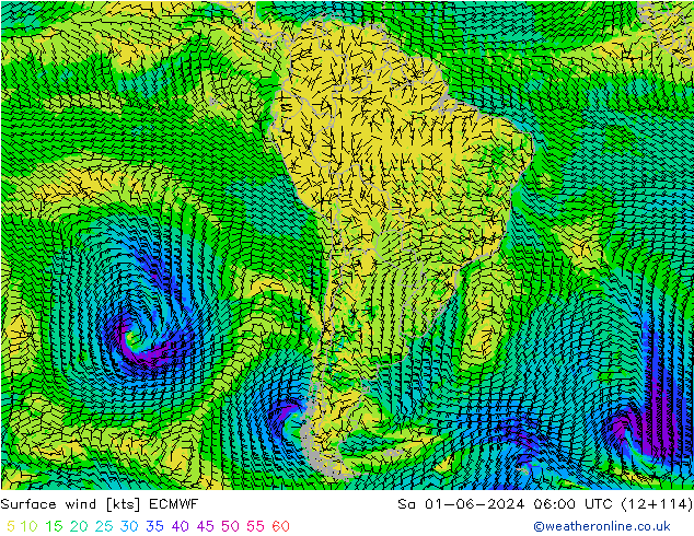 Surface wind ECMWF Sa 01.06.2024 06 UTC