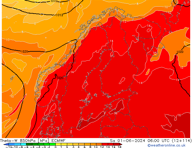 Theta-W 850hPa ECMWF  01.06.2024 06 UTC