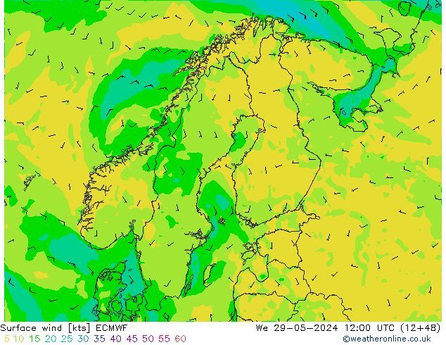 Surface wind ECMWF We 29.05.2024 12 UTC