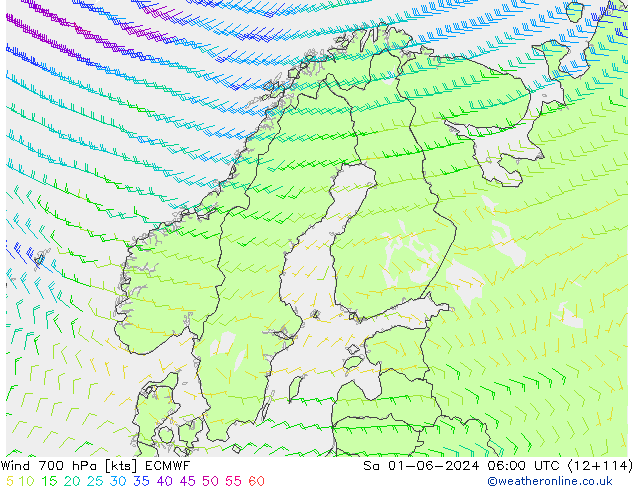  700 hPa ECMWF  01.06.2024 06 UTC