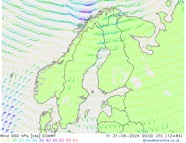  950 hPa ECMWF  31.05.2024 00 UTC