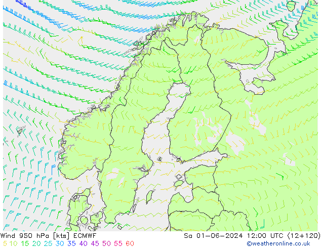 Viento 950 hPa ECMWF sáb 01.06.2024 12 UTC