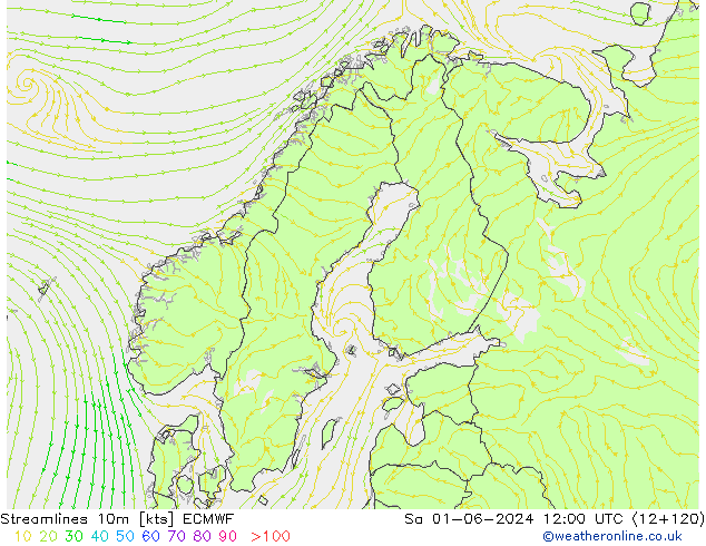 Streamlines 10m ECMWF Sa 01.06.2024 12 UTC