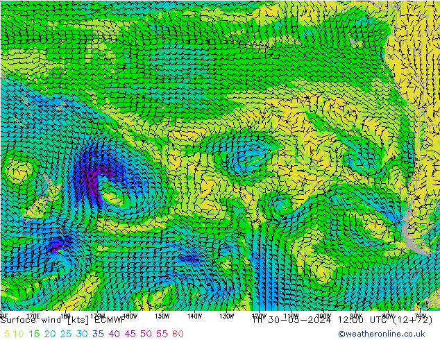 Vento 10 m ECMWF gio 30.05.2024 12 UTC