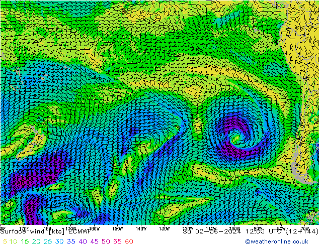 Vento 10 m ECMWF dom 02.06.2024 12 UTC