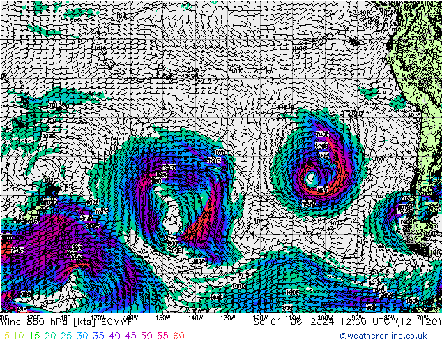 Vento 850 hPa ECMWF sab 01.06.2024 12 UTC