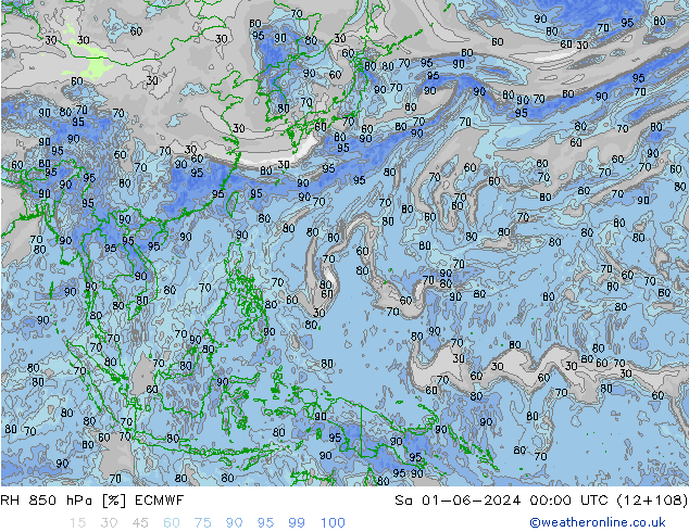 RH 850 hPa ECMWF So 01.06.2024 00 UTC