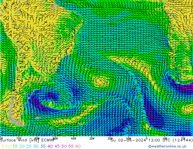 Wind 10 m ECMWF zo 02.06.2024 12 UTC