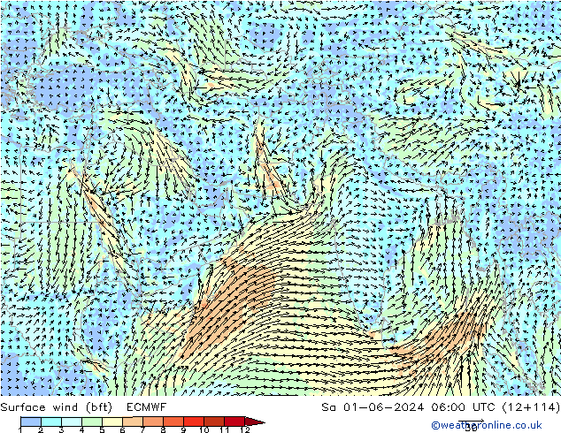 Surface wind (bft) ECMWF So 01.06.2024 06 UTC