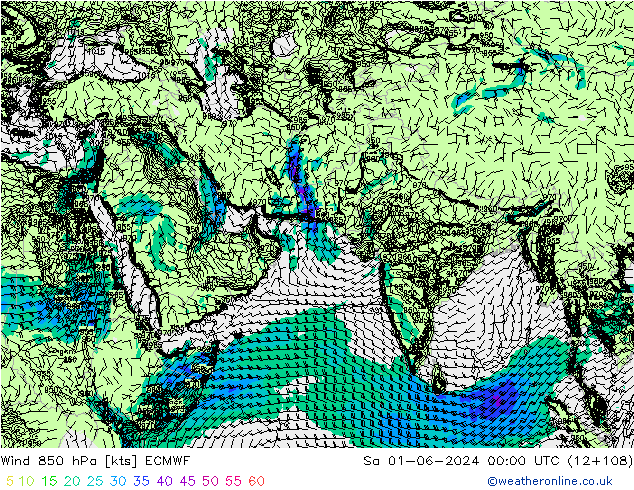 Wind 850 hPa ECMWF So 01.06.2024 00 UTC