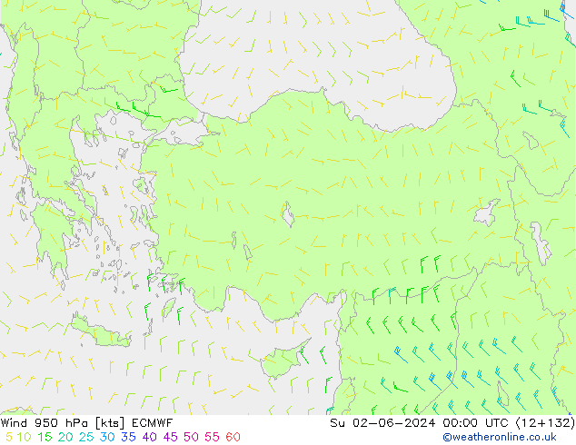  950 hPa ECMWF  02.06.2024 00 UTC